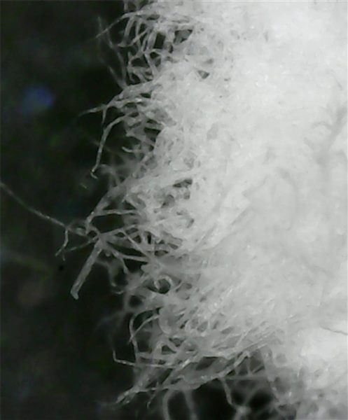 醋酸级木浆 — Acetate-grade Wood Pulp