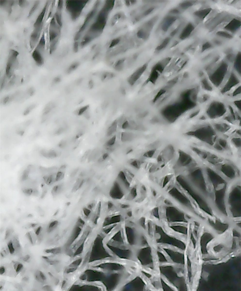 醋酸级棉浆 — Acetate-grade Cotton Pulp
