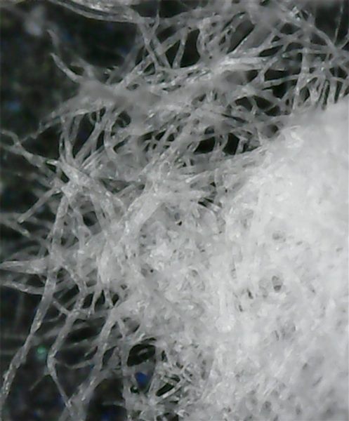 溶解级木浆（阔叶木） — Dissolving Wood Pulp (Hardwood)
