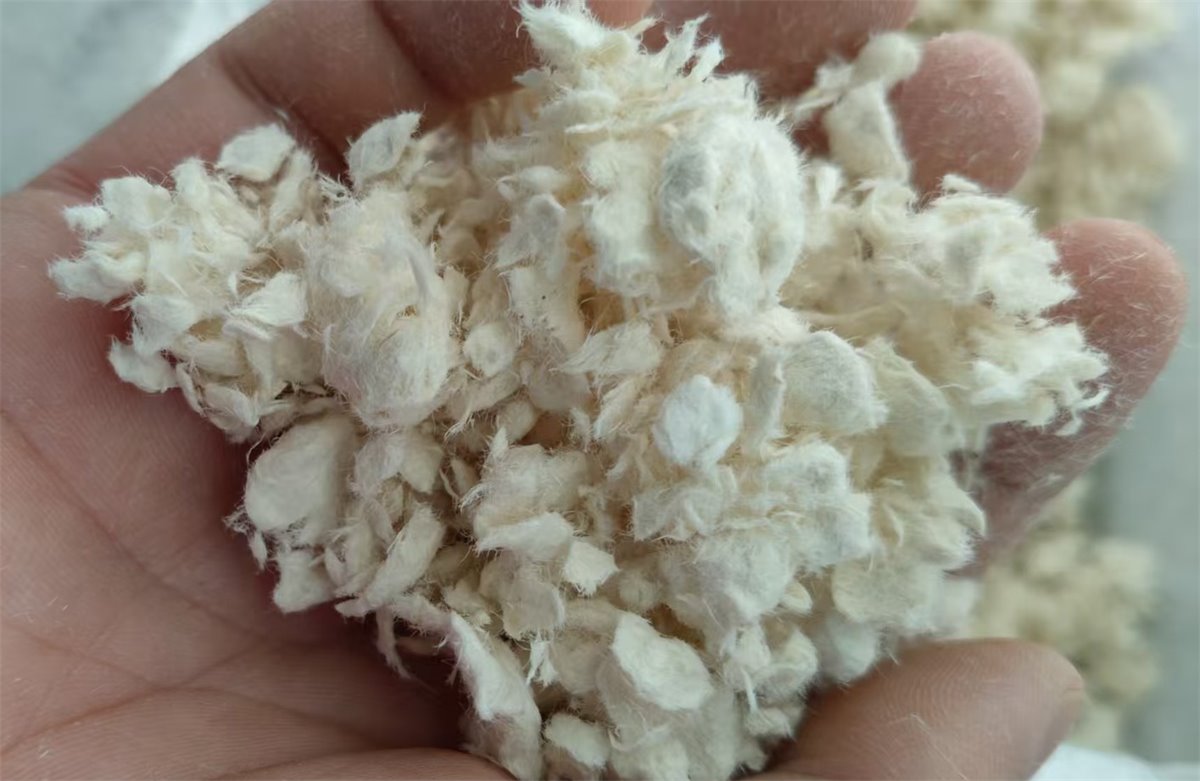机械法木纤维（针叶木） — Mechanical Wood Fibre (Softwood)