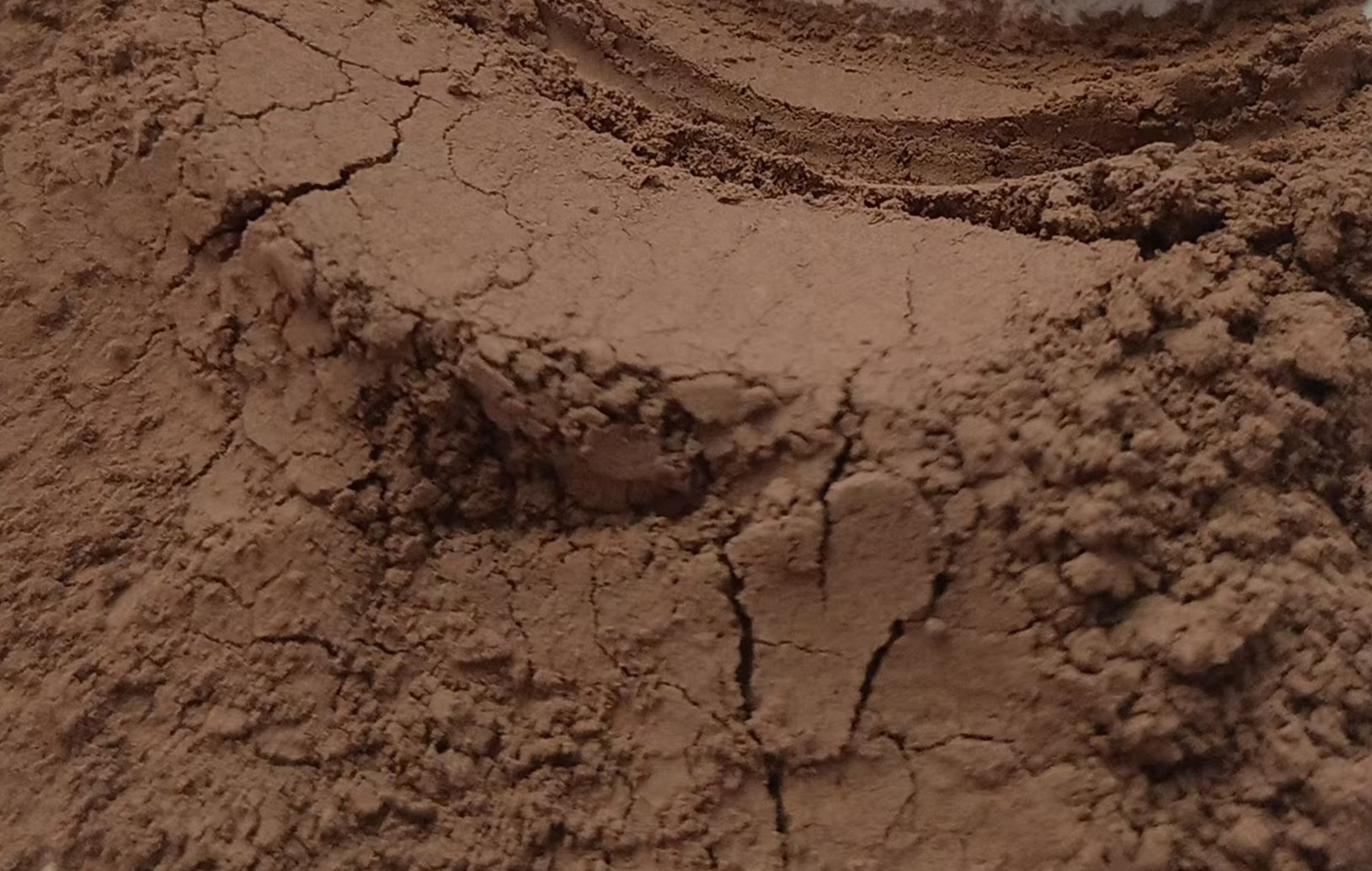 生物纤维织物样品,编织成布料状的纤维材料,纹理清晰,质地柔软,体现纺织品特性